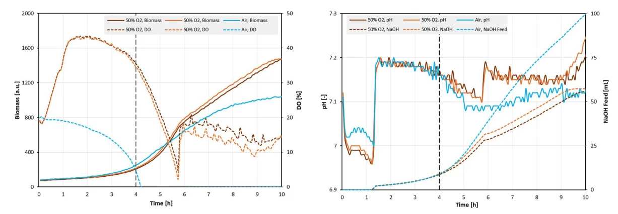 Fed-batch E. coli culture comparing atmospheric air and oxygen-enriched conditions
