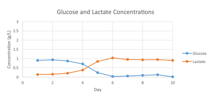 Glucose and lactate concentration in CHO-GFP cells over time Graph of glucose and lactate concentration in CHO-GFP cell culture over ten days measured by the Vi-CELL MetaFLEX