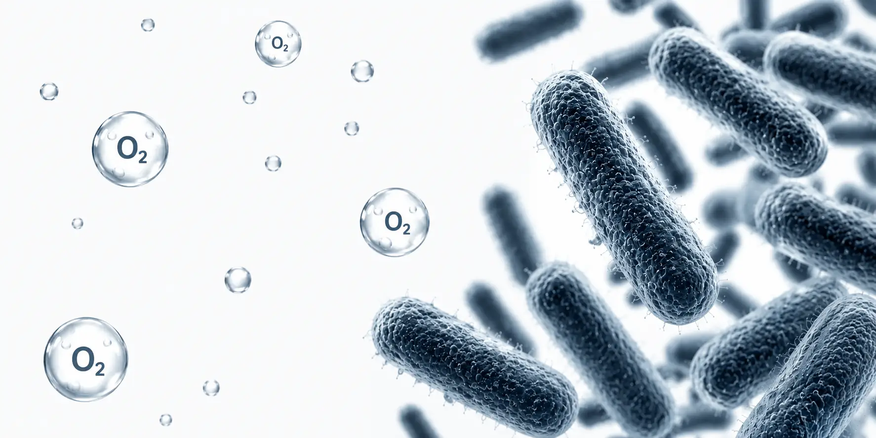 Cultivo de E. coli de alta densidad y disponibilidad de oxígeno durante el cultivo microbiano